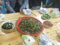 -东吴霸王兔(松青路店)