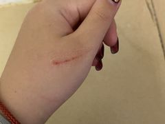 -楼上猫咖(罗湖店)