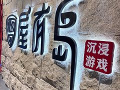 -屋有岛沉浸游戏旗舰店(中山公园店)