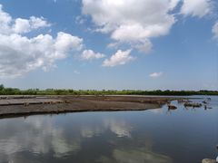 -宁波杭州湾国家湿地公园