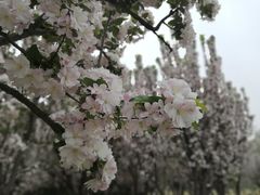 -太阳宫公园