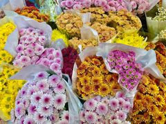 -循礼门鲜花花市(武汉循礼门店)