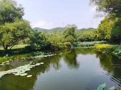 -八卦田遗址公园