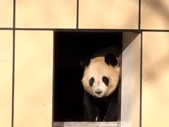 -秦皇岛野生动物园
