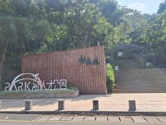 -银湖山郊野公园-相思林