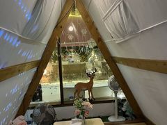 -天空花园餐吧·生日·团建(南山店)