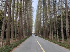 -金岛生态园烧烤露营地