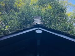 -杭州植物园