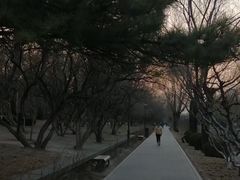 -元大都城垣遗址公园