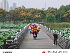 -金银湖国家城市湿地公园