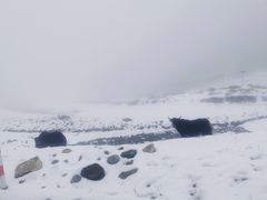 -贡嘎雪山