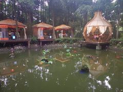 -二荆条·蜀鲜汇城市森林火锅