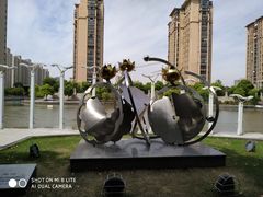 -陈家山荷花公园
