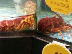 -麦斯汀烘焙坊(建昌兴隆店)