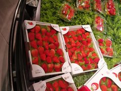 -超级物种(省府店)
