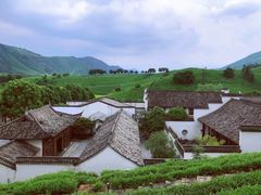 -帐篷客·溪龙茶谷度假酒店