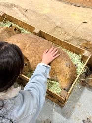 -Zoolung Zoolung动物主题公园(海信广场店)