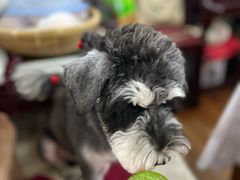 -美联众合24小时·皮肤科·外科·全科诊疗中心(华苑分院)