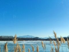 -野鸭湖国家湿地公园