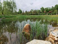 -张家湾公园