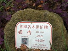 -上海方塔园