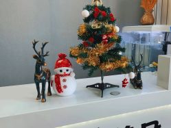 -美朵纹绣美牙纹眉工作室