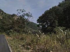 -大连天门山国家森林公园