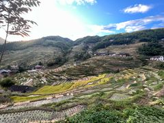 -紫鹊界梯田景区