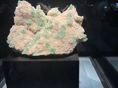 -中华赏石园