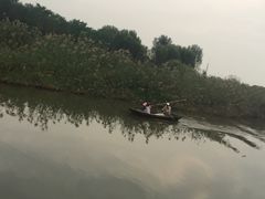 -微山湖红荷湿地景区