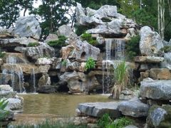 -东莞植物园