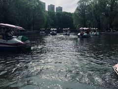 -黑龙江省森林植物园
