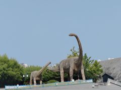 -安徽省地质博物馆