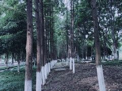 -后襄河公园