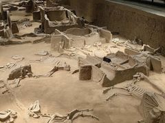 -洛阳周王城天子驾六博物馆