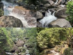 -大围山国家森林公园