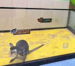 -未来动物城动物主题公园(大悦城店)