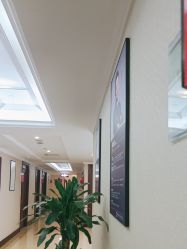 -南京医科大学友谊整形外科医院