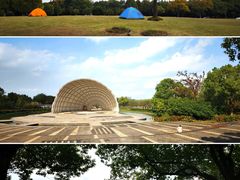 -上海吴淞炮台湾国家湿地公园