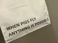 -WHEN PIGS FLY当猪飞