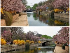 -海棠花溪(元大都城垣遗址公园)