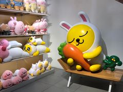-KAKAO FRIENDS(弘大店)