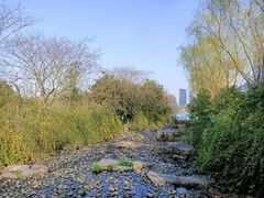 -天鹅湖体育公园