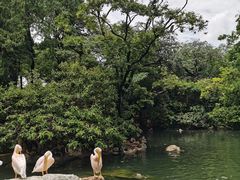-昆明动物园