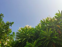 -那琴半岛地质海洋公园