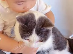 -飞行喵MR PILOT|猫舍·猫咖(静安大融城店)