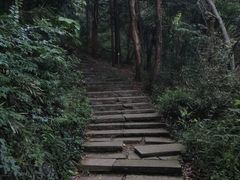 -杭州半山国家森林公园