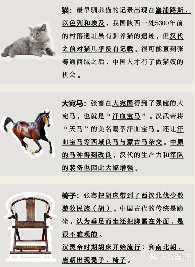张骞出使西域，带回了哪些种子？🌿🌱 