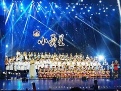 -小荧星艺校(大宁分校)