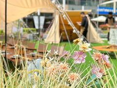 -CAMP.33露营烤肉·团建聚餐(创智天地店)